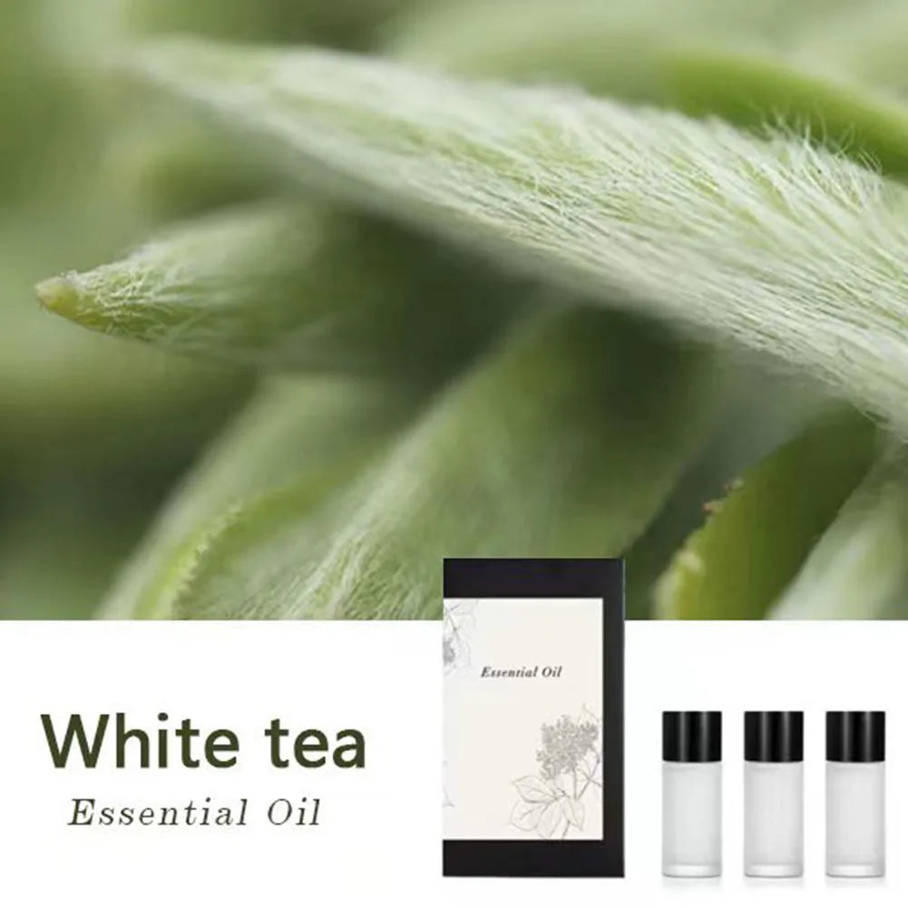 Oil Aromatherapy Oil Car Aromatherapy Oils Long Lasting Natural Fragrance Oil As The Picture Shows Does Not Apply